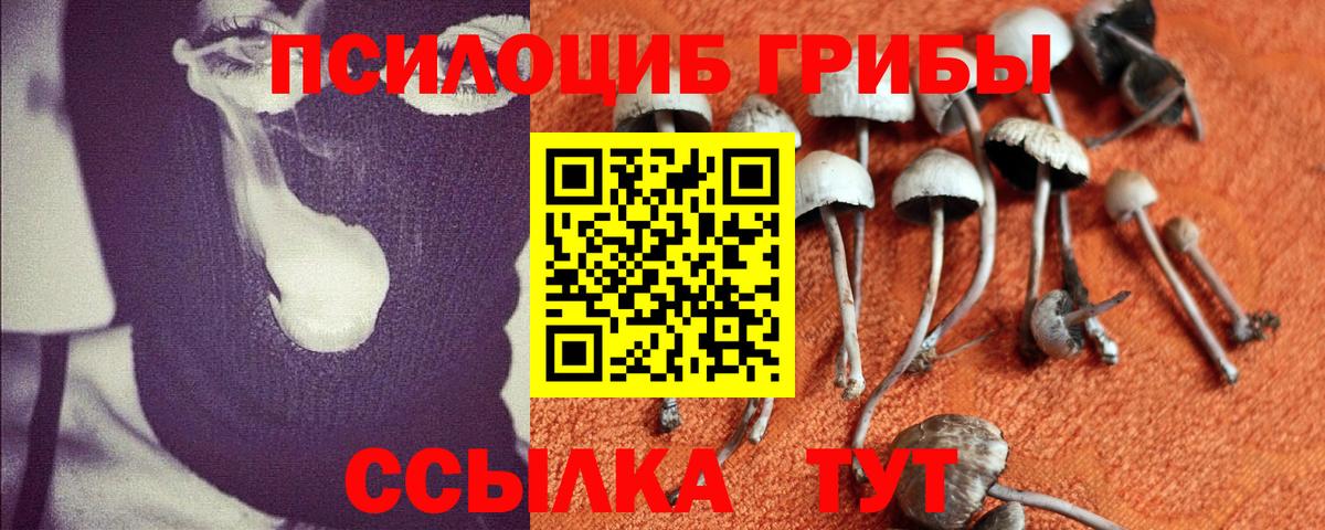 Галлюциногенные грибы Psilocybe Ханты-Мансийск