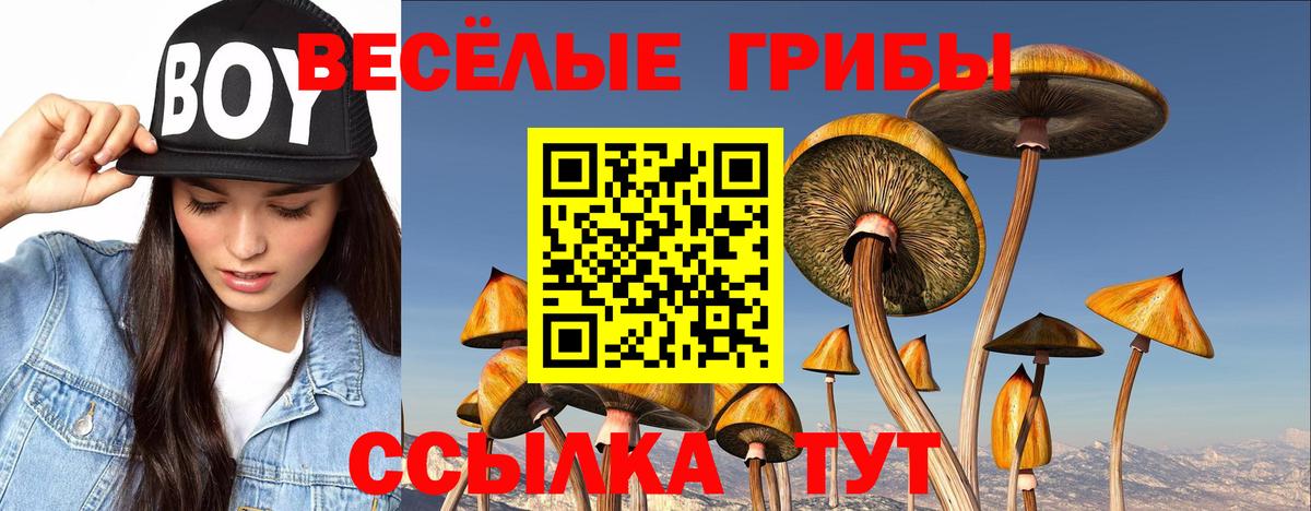 Псилоцибиновые грибы Magic Shrooms  Вход с VPN  Ханты-Мансийск 